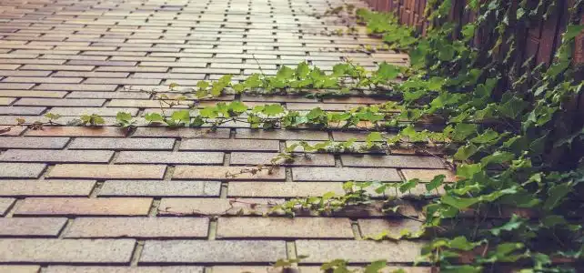 Le pavé, un élément essentiel du patrimoine français